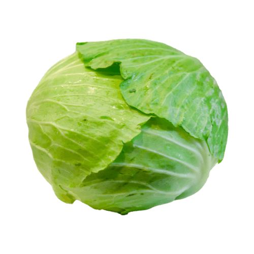Plain Cabbage