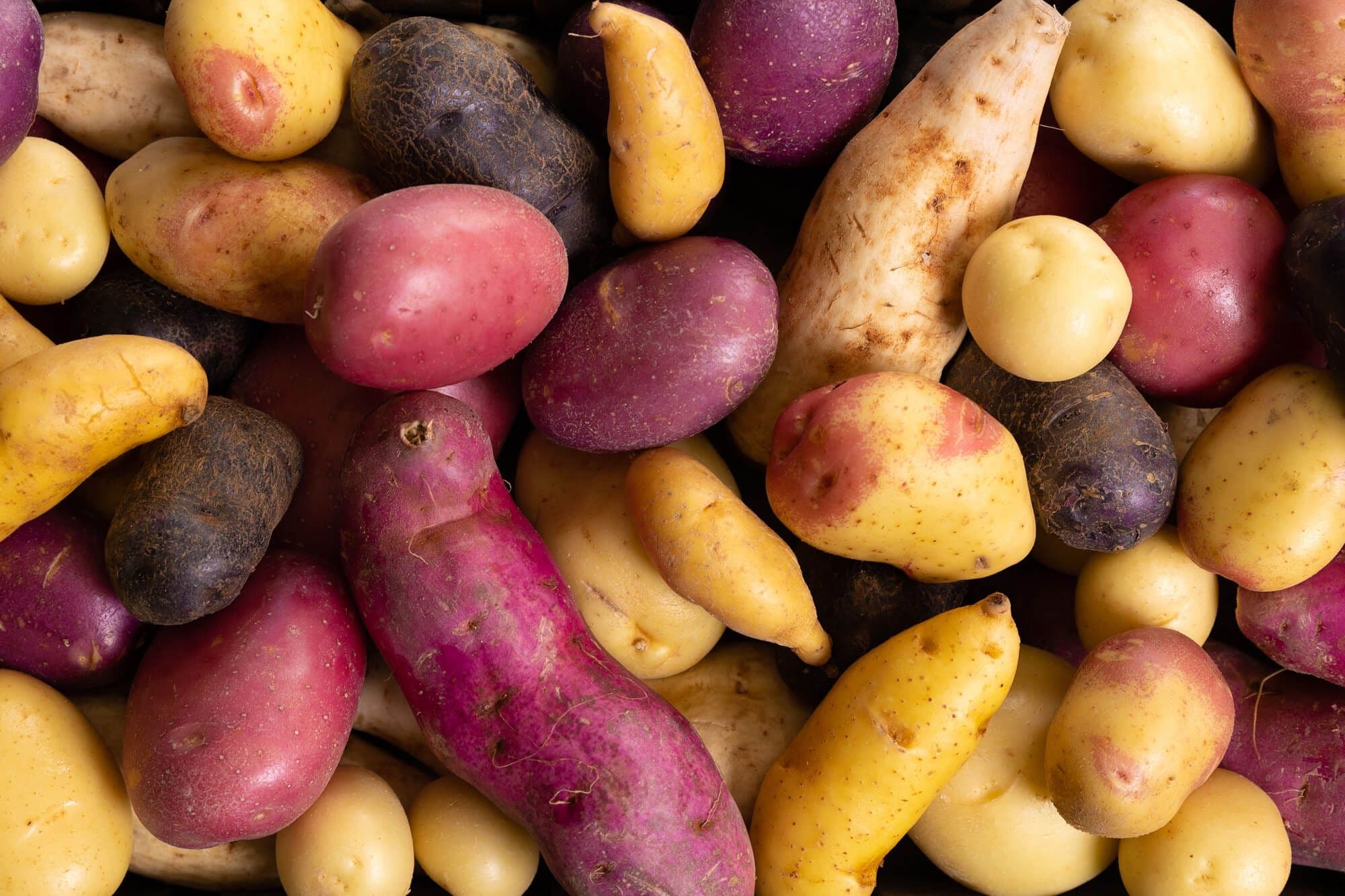 Top view of potatoes