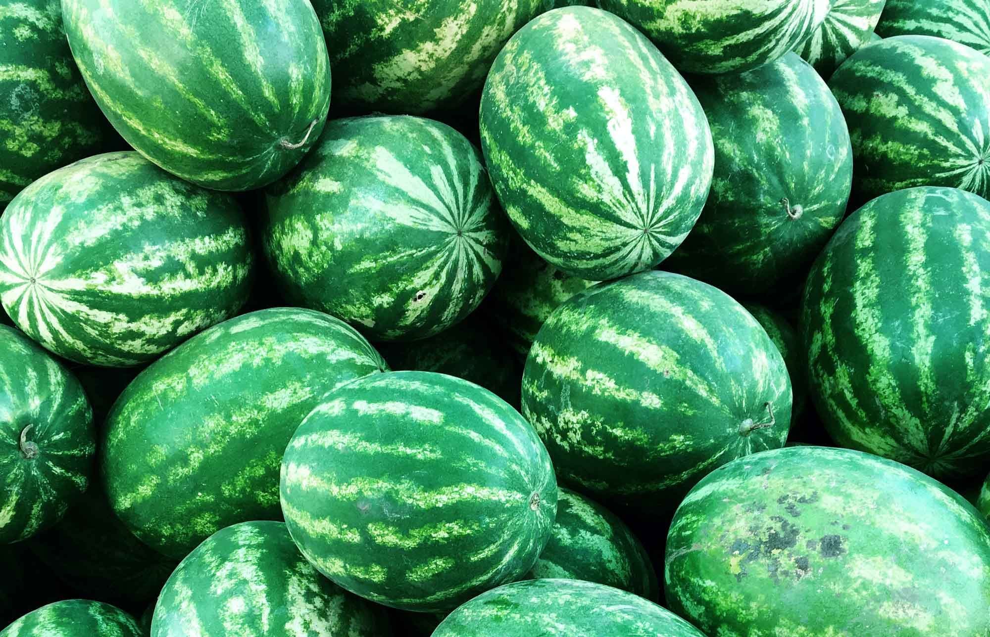 melons