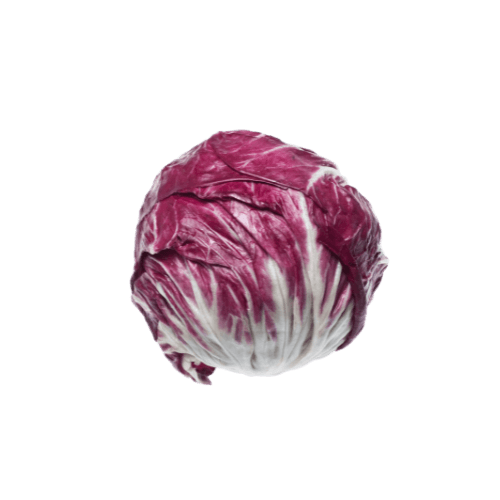 Radicchio