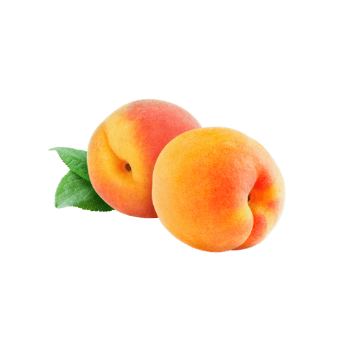 Apricot