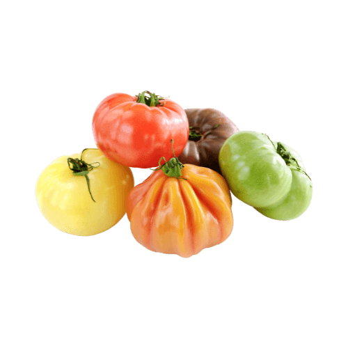 Heirloom Tomato
