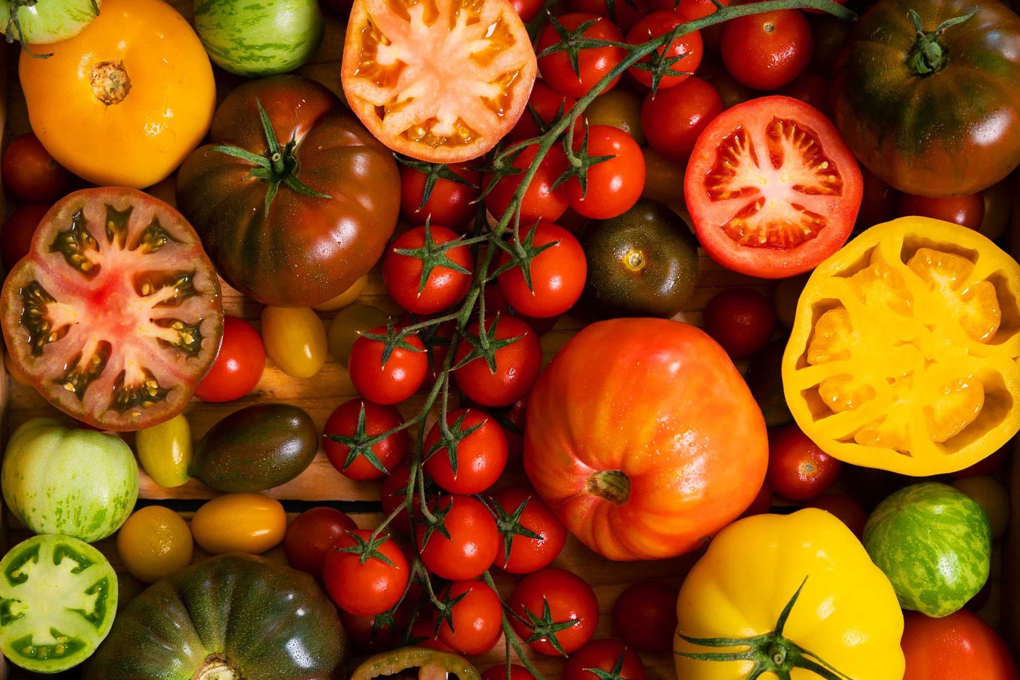 Varieties of tomatoes