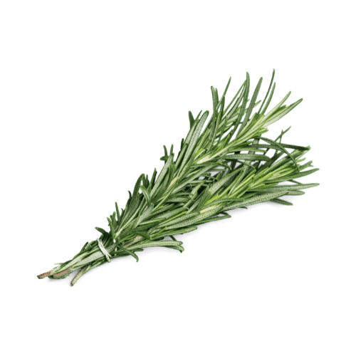 Rosemary