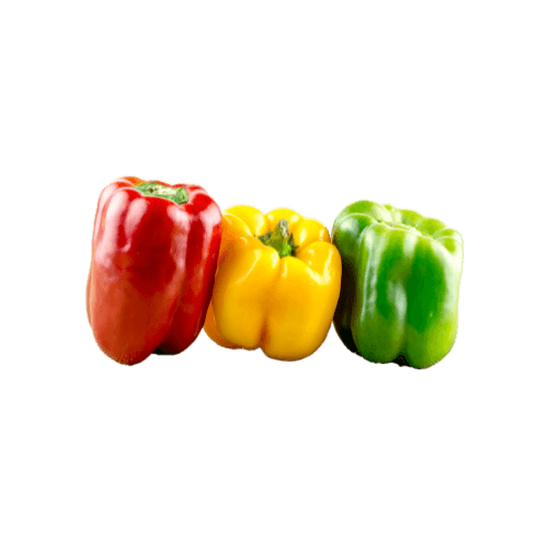 Capsicum