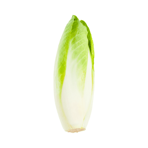 Endive