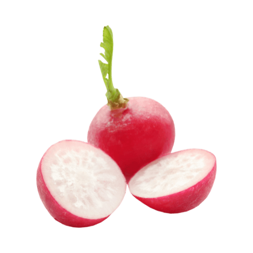 Radish